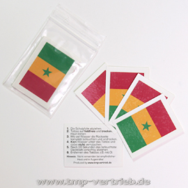 Senegal Tattoo Fahne